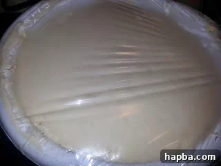 Puff-puff dough after proofing, showing its significantly increased volume and bubbly texture.