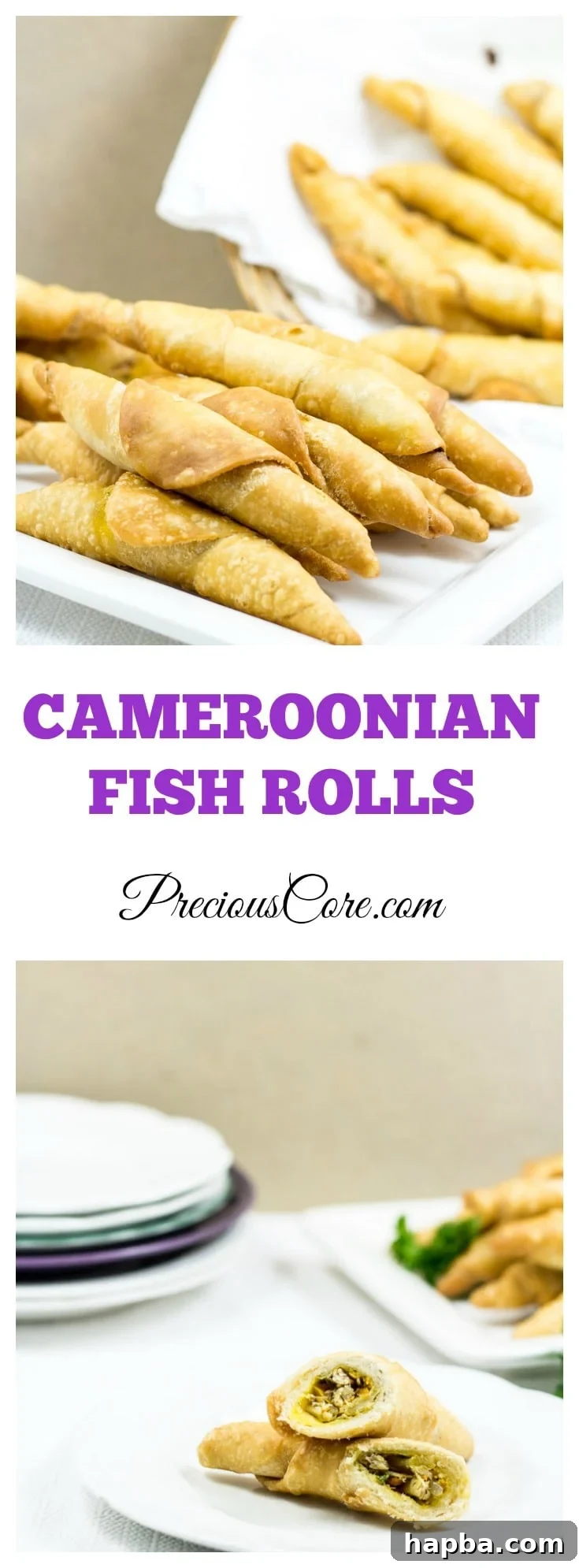 Best Cameroonian fish rolls recipe and video tutorial for a perfect homemade snack.