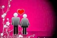 The Courting Code