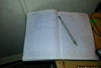 My Valentine’s Day A Diary’s Untold Story