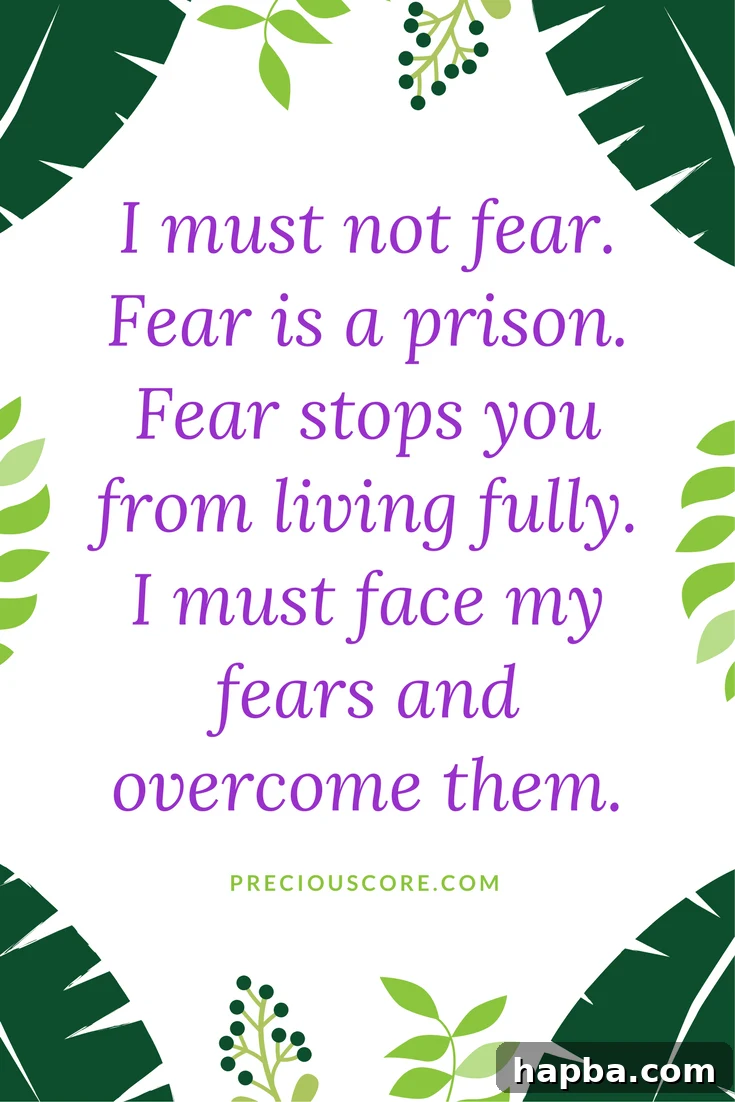 Breaking Free from the Fear of Dogs 2 Overcoming fear