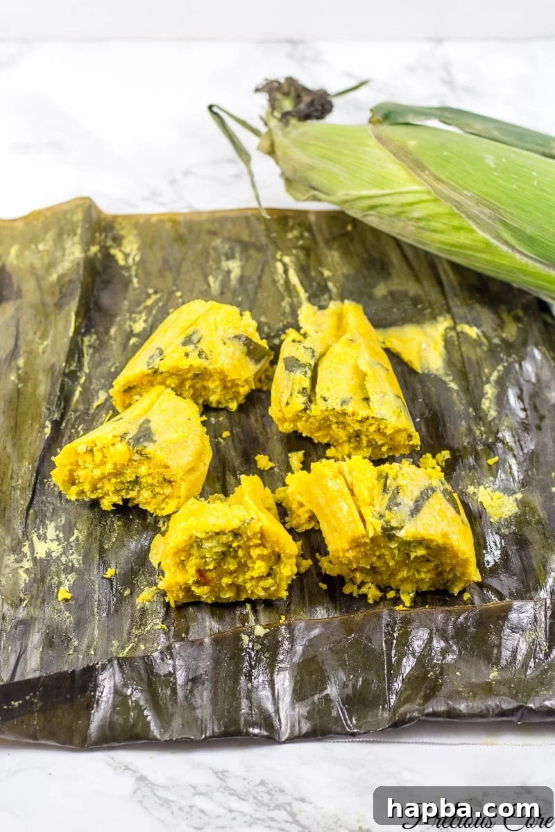 African fresh corn tamales