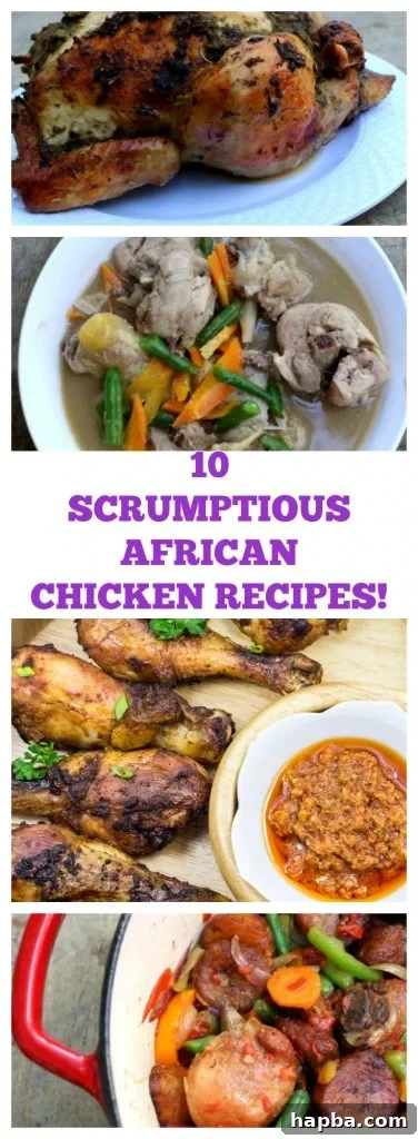 A collage of the best African chicken recipes, showcasing various delicious chicken dishes from the continent.