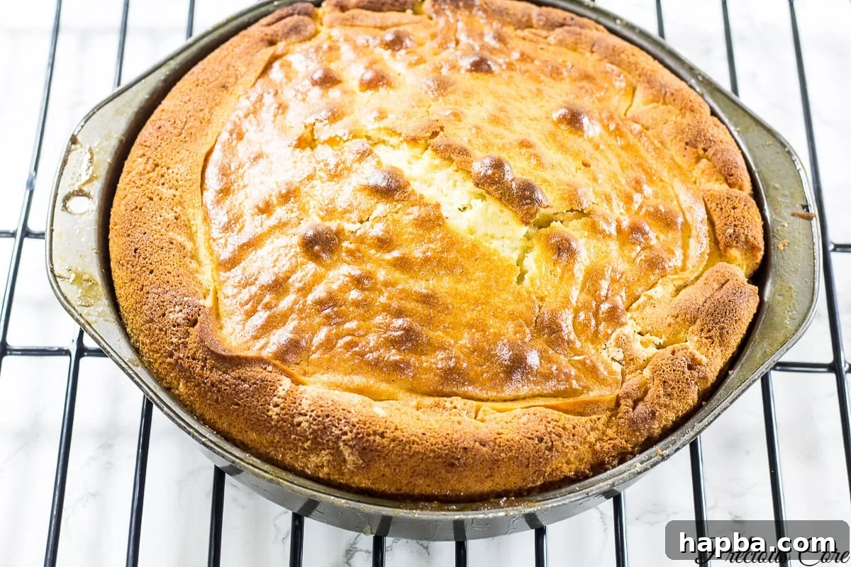 Tropical Mango Delight Cake 7 A perfectly baked golden brown mango upside down cake still in the pan, fresh from the oven