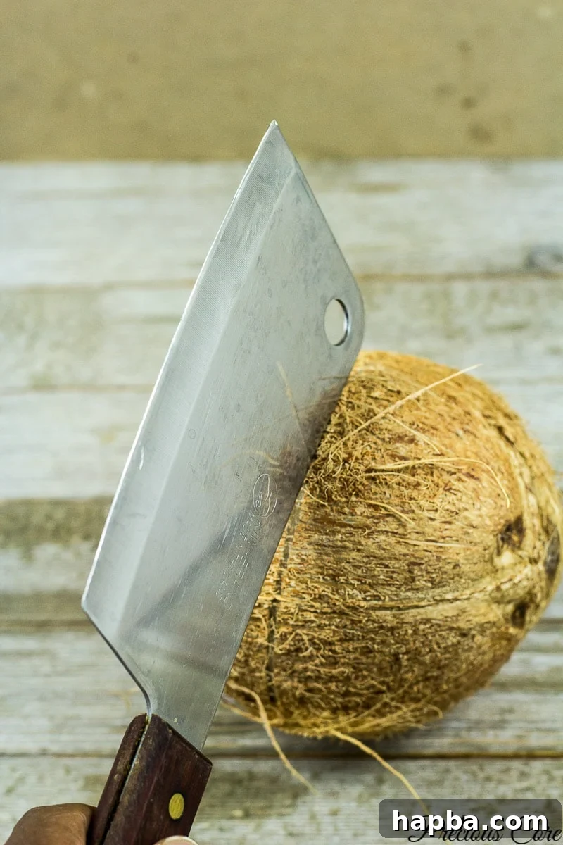 A pair of hands demonstrating how to open a coconut by striking its perimeter with the blunt side of a butcher knife.