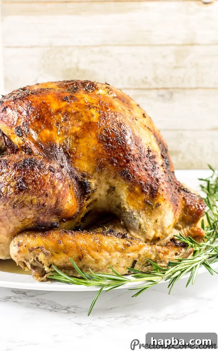 The best juicy roast turkey
