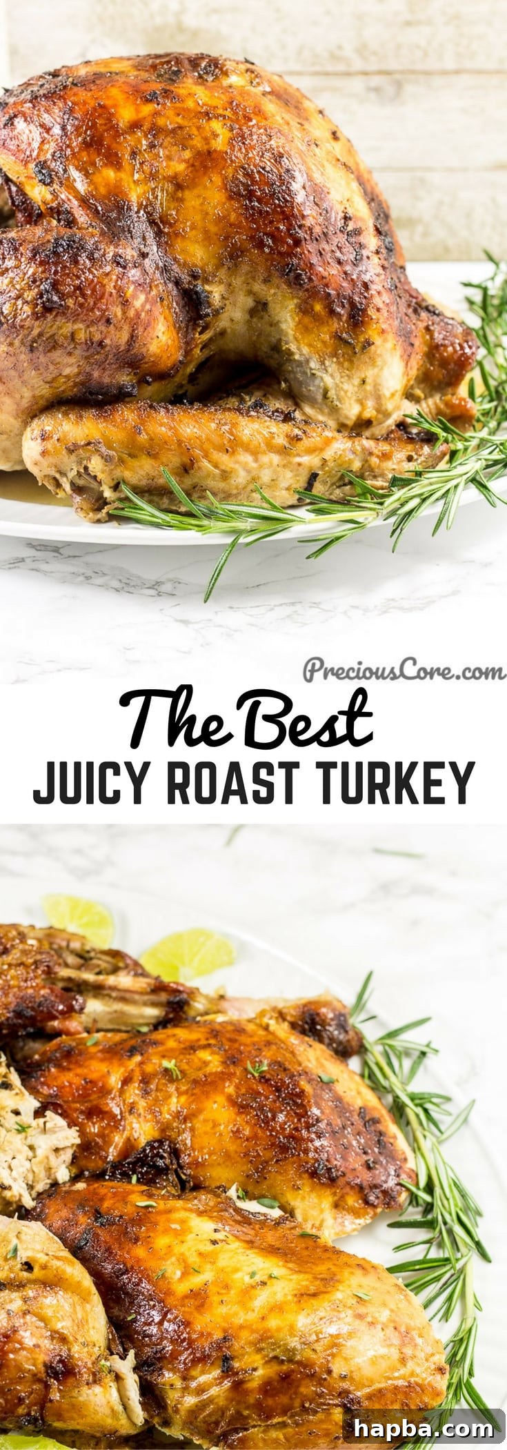 Collage of turkey with text \"The Best Juicy Roast Turkey.\"