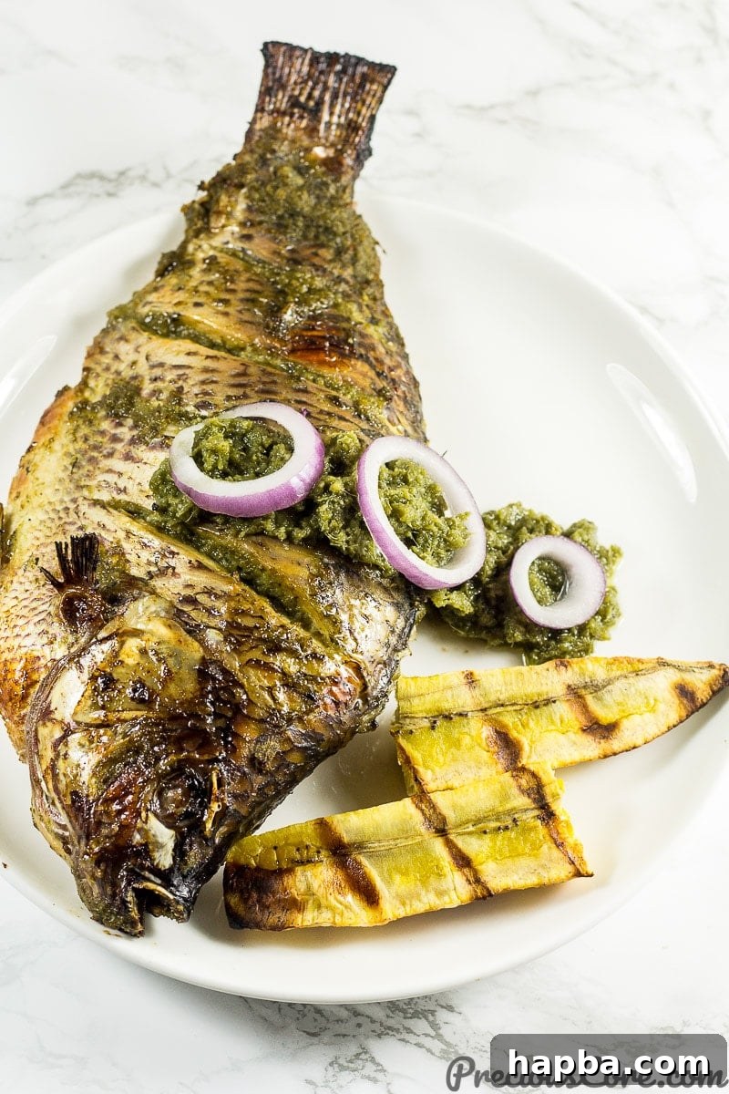 Golden Broiled Tilapia 2 Oven grilled tilapia recipe