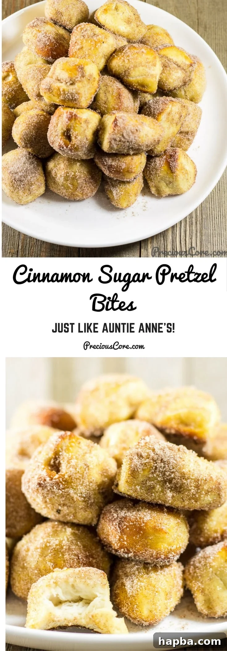Sugared Cinnamon Pretzel Poppers 7 Collage with text
