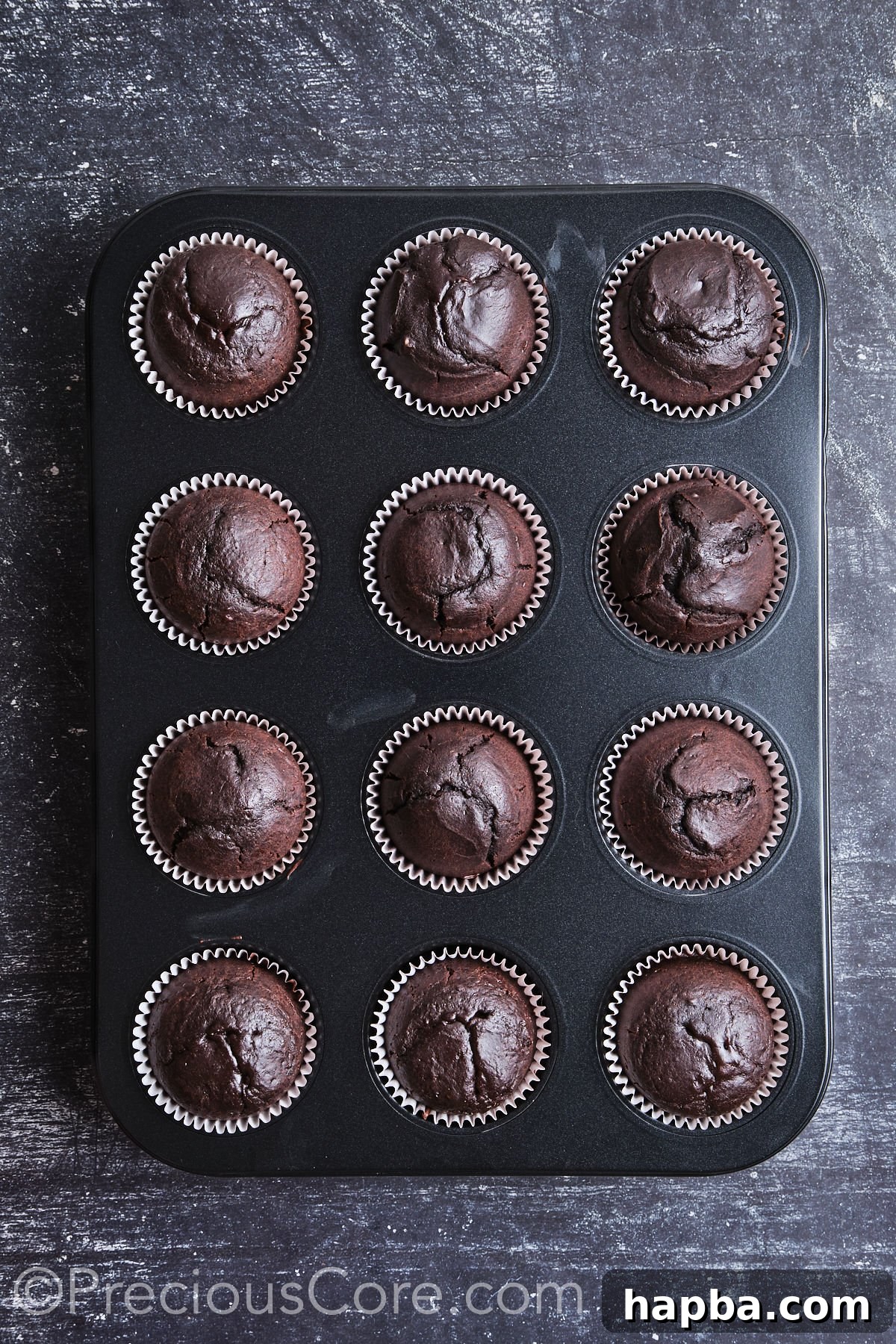 Freshly baked chocolate cupcakes, golden brown and perfectly risen, cooling in a muffin pan.