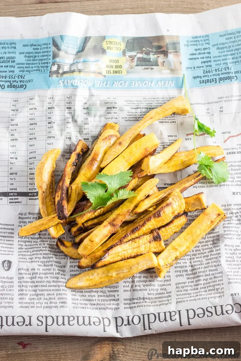 Golden Plantain Fries 3 Golden brown Plantain Fries garnished with fresh cilantro, ready to serve.