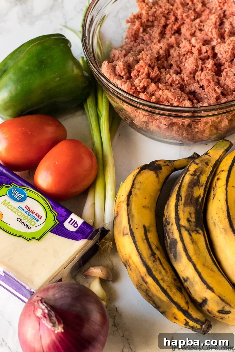 Tropical Plantain Bake 5 Plantain Lasagna best plantains to use and other ingredients.