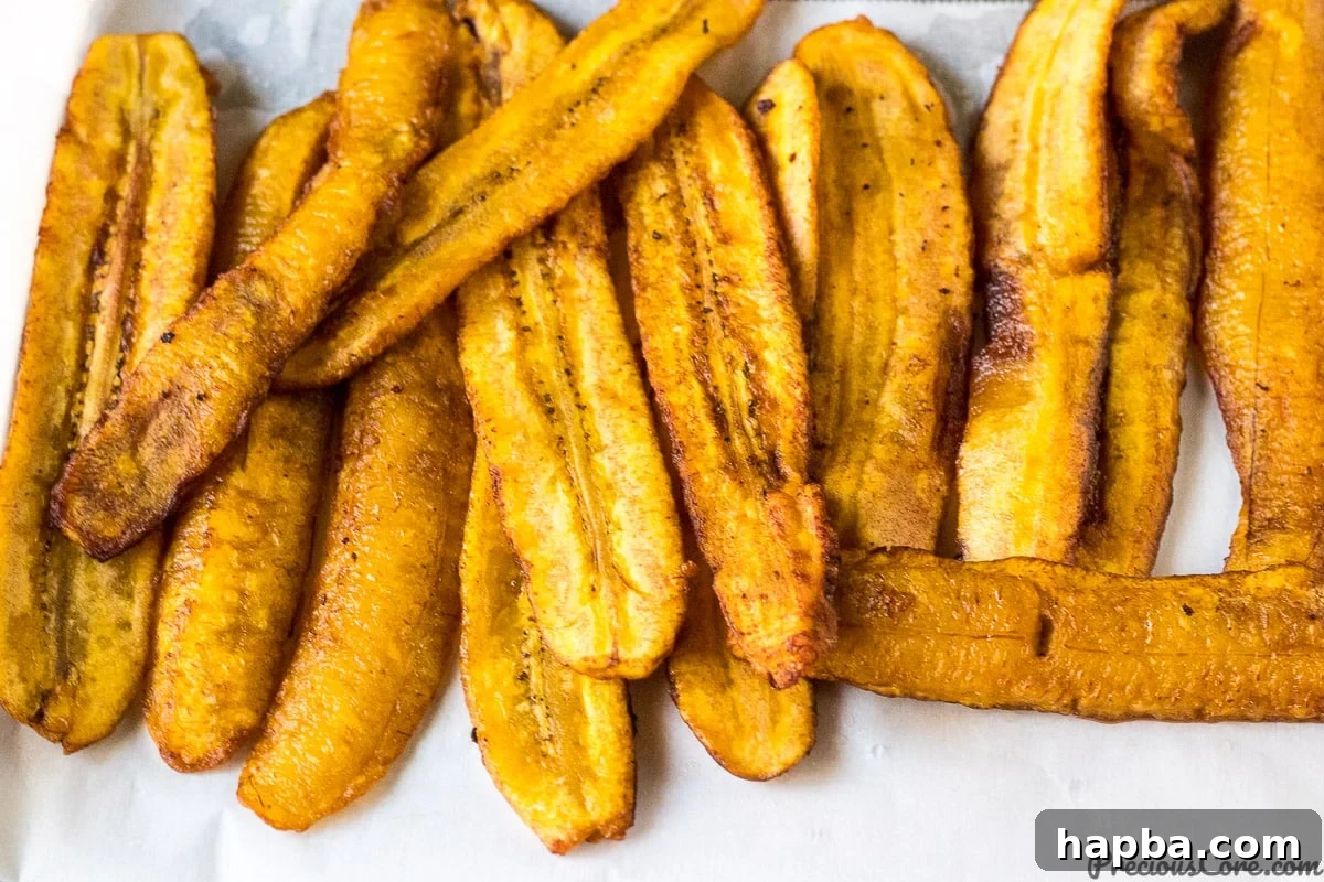 Tropical Plantain Bake 7 Plantain Slices for Plantain Lasagna