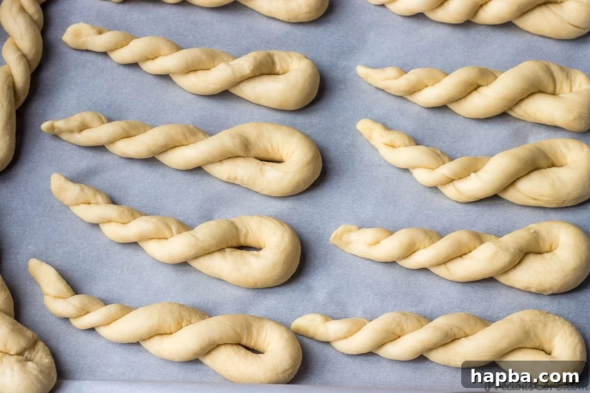African twisted doughnuts