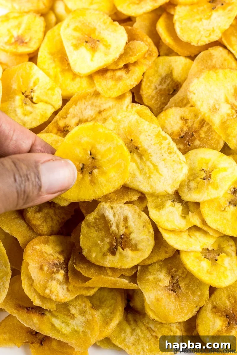 Homemade Plantain Chips Recipe, showing golden, thin slices.