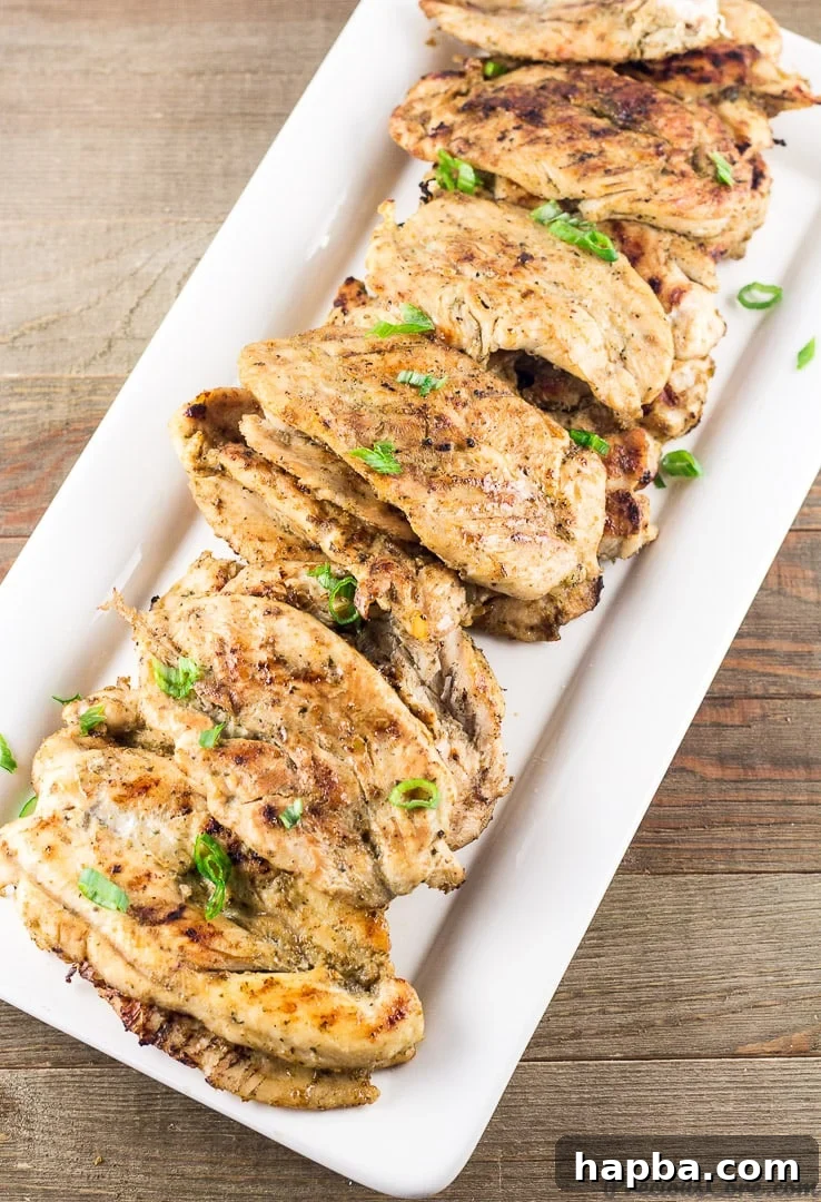 Succulent Grilled Chicken Strips 5 Flat grilled chicken tenders, ideal for sandwiches