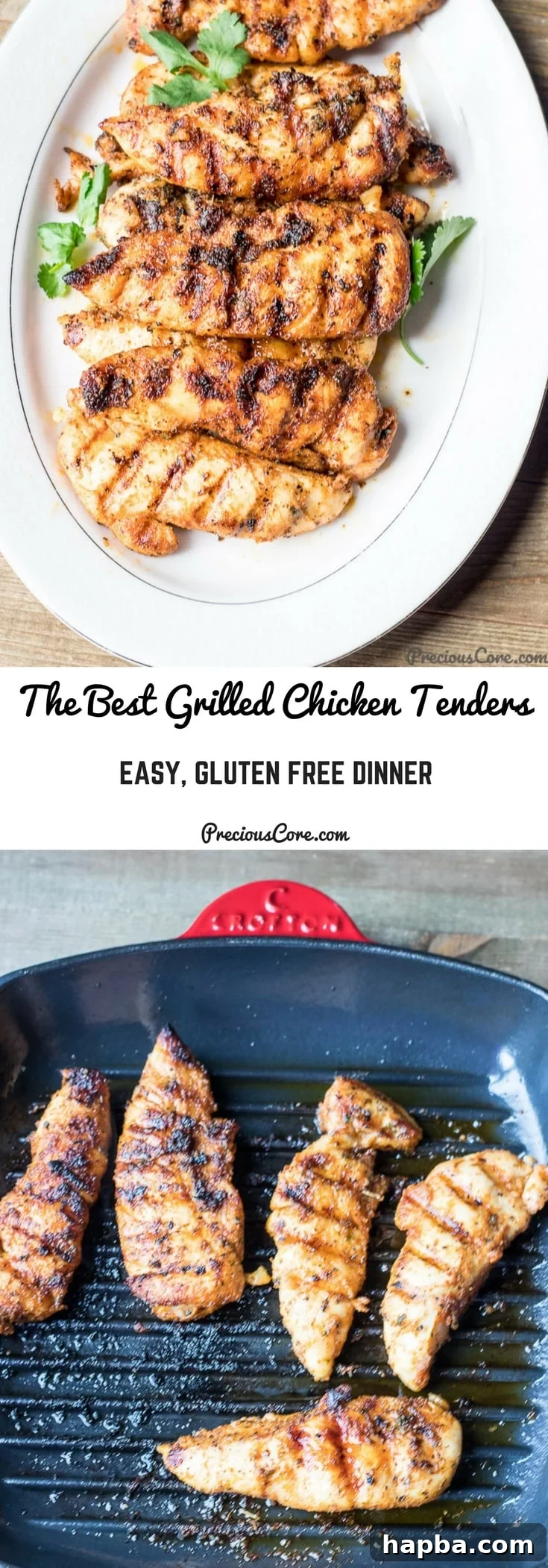 Succulent Grilled Chicken Strips 8 Collage with text "The Best Grilled Chicken Tenders Easy, Gluten Free Dinner."