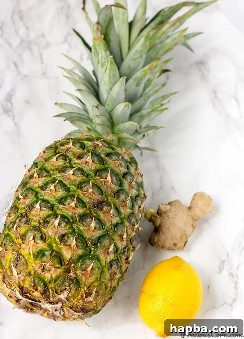 Sunshine Spice Blend 3 Pineapple Ginger Root and Lemon