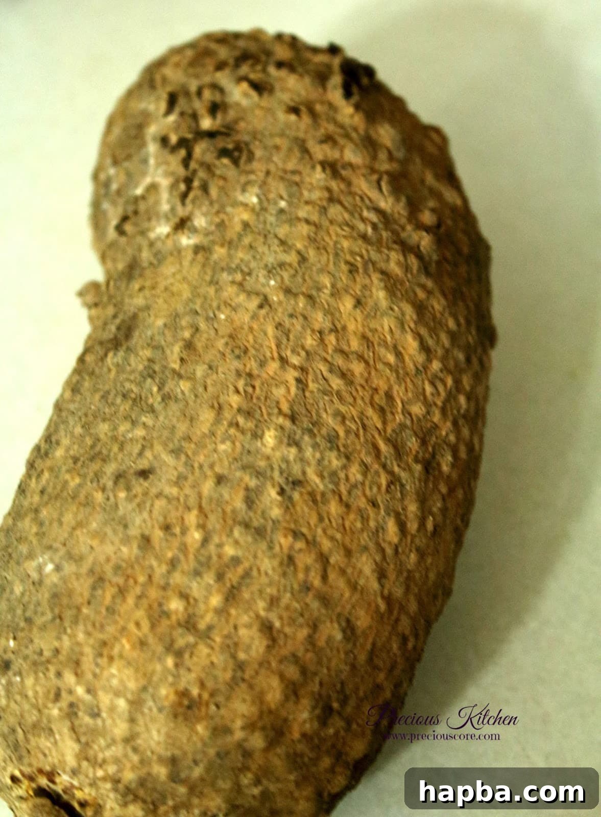 Fresh White African Yam