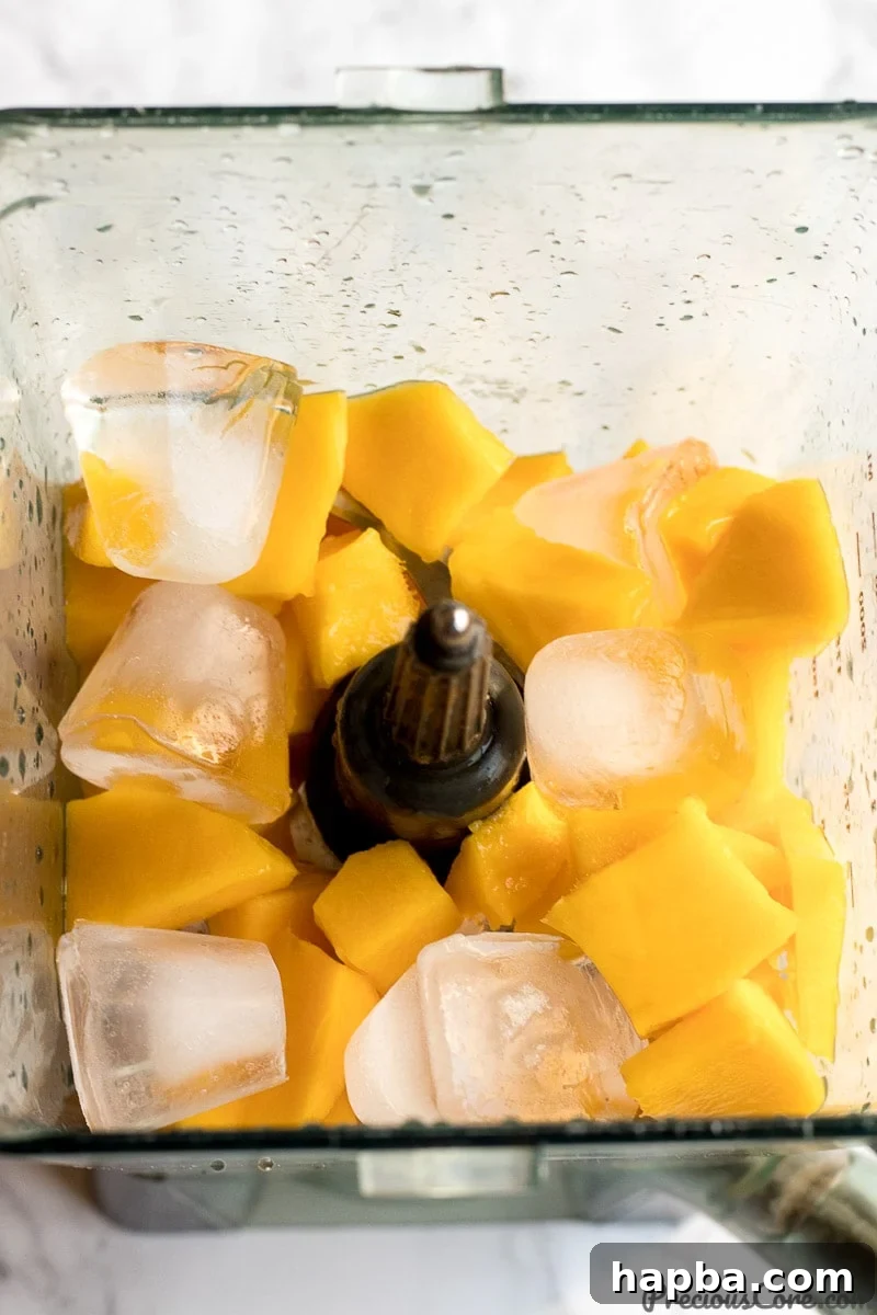 Chopped mangoes, ice, and clear water loaded into a blender, poised for pureeing.