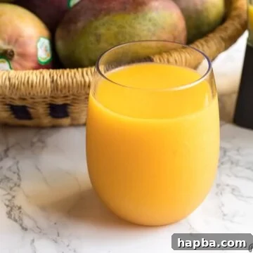 Homemade Mango Juice Recipe