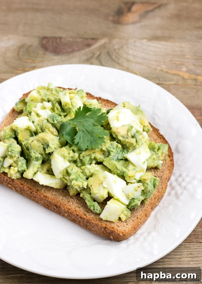 Creamy Avo Egg Delight 2 Avocado Egg Salad Served on whole Wheat Toast