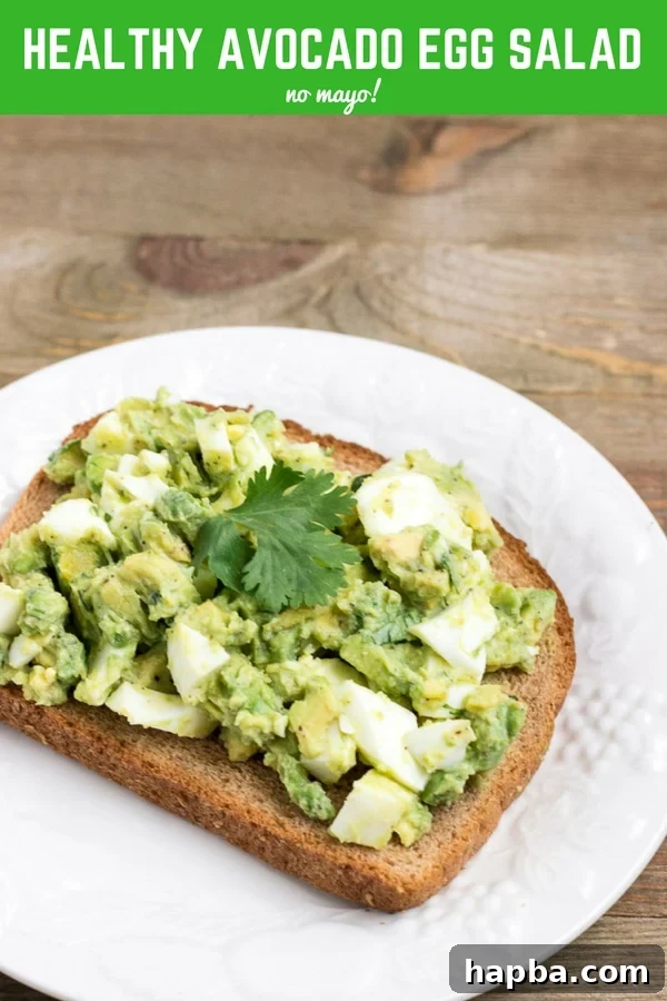 Creamy Avo Egg Delight 9 Mayo-free Avocado Egg Salad spread on toast.