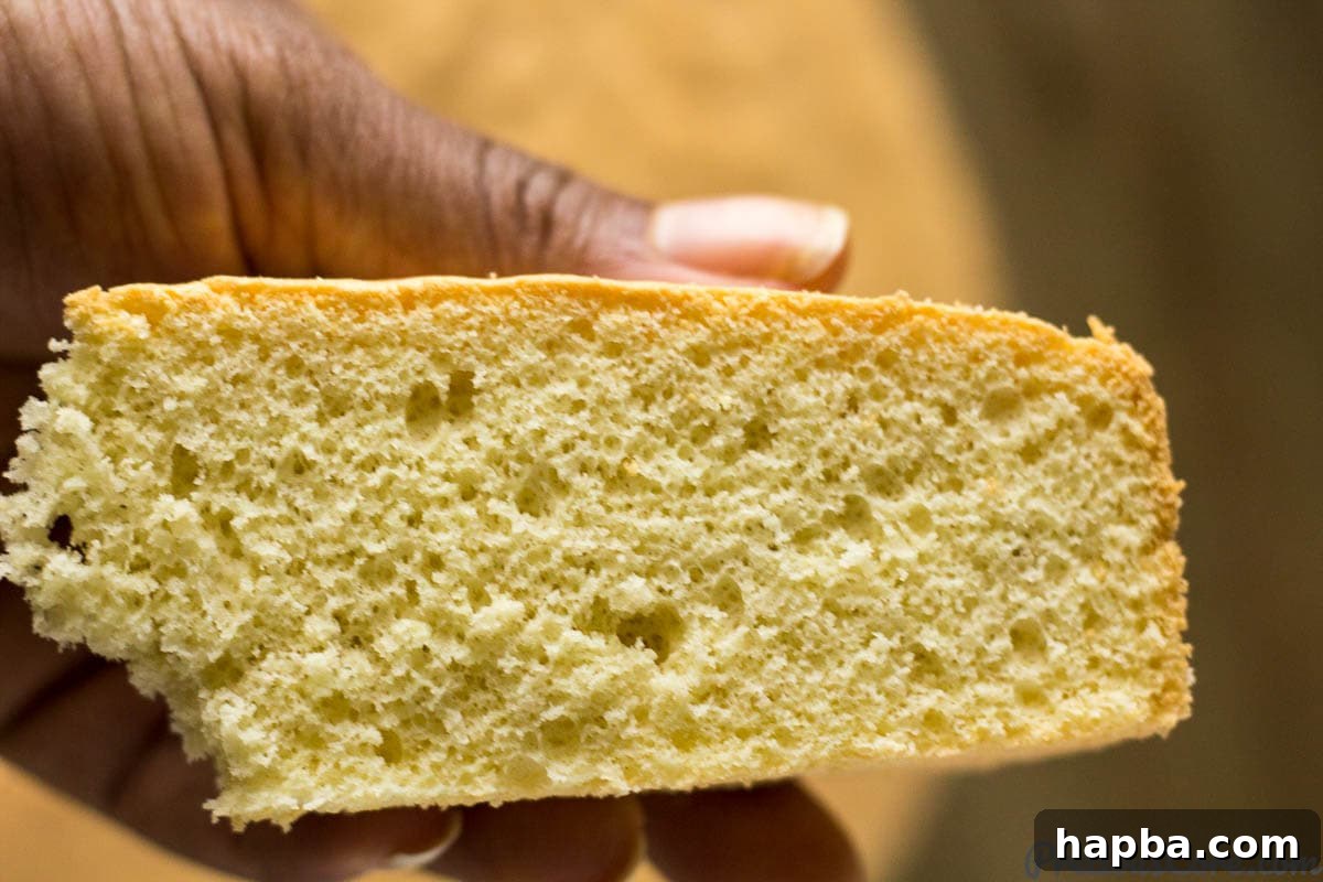 Golden Vanilla Dream 2 Person holding a slice of vanilla sponge cake.