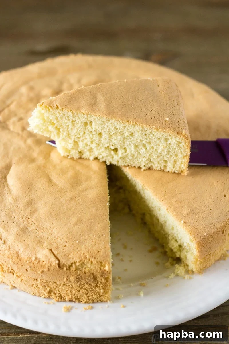 Golden Vanilla Dream 3 Vanilla Sponge Cake with a slice removed and on a knife.
