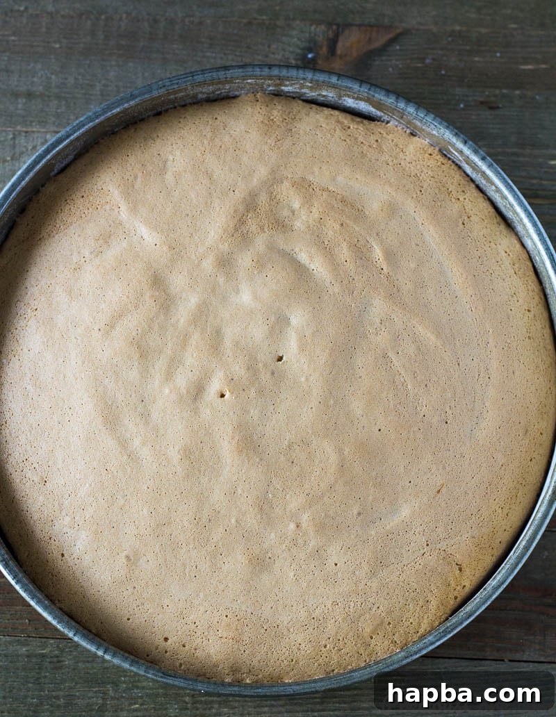 Golden Vanilla Dream 8 Vanilla Sponge Cake in a cake pan.