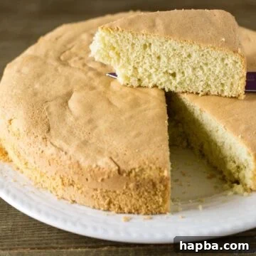 Golden Vanilla Dream 9 Perfect Vanilla Sponge Cake Recipe