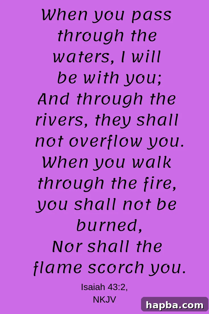 Journey Through Flame 2 Going through hard moments? Here is what you need to know about passing through the fire. God says when you walk through the fire, He will be with you, refining you and making you stronger.