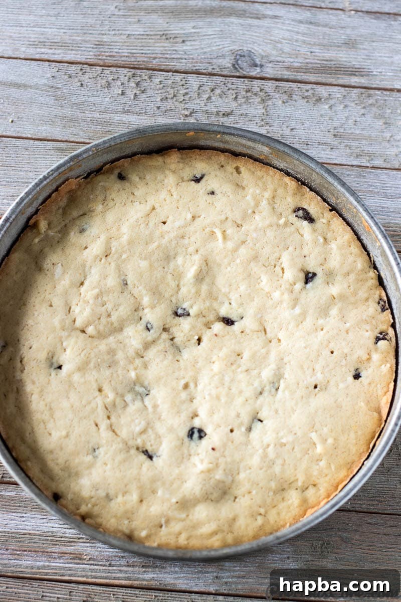 Freshly baked Christmas Fruit Cake in a cake pan, golden brown and perfectly risen.