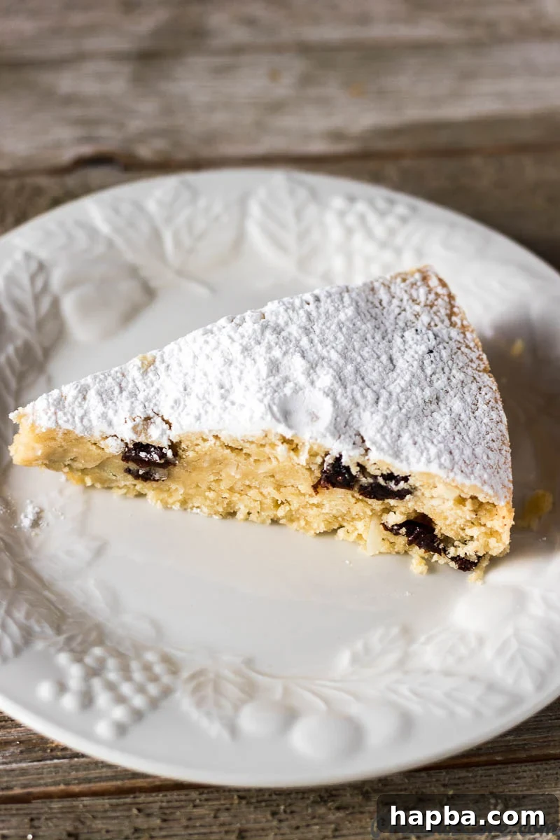 White plate showcasing a perfectly sliced piece of Christmas Fruit Cake, revealing its moist interior and abundant fruits.