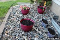 Big Reveal: My New Garden
