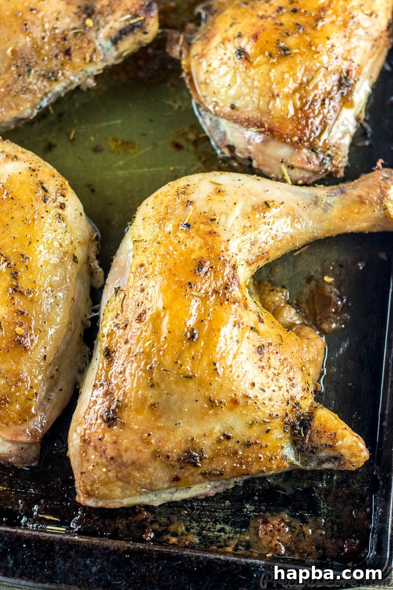 Close-up shot of a baked chicken leg quarter