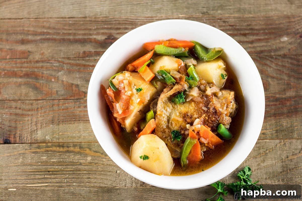 Rustic Chicken and Potatoes 2 Chicken and Potatoes Stew in a pasta bowl, garnished with fresh herbs