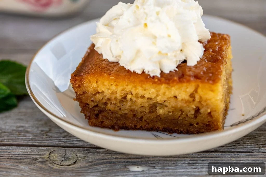 A serving of South African Malva Pudding generously topped with a swirl of delicate whipped cream, ready to be enjoyed.