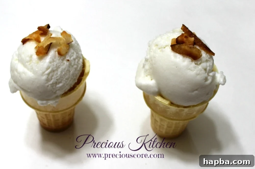 Homemade coconut ice cream with toasted coconut flakes as a topping
