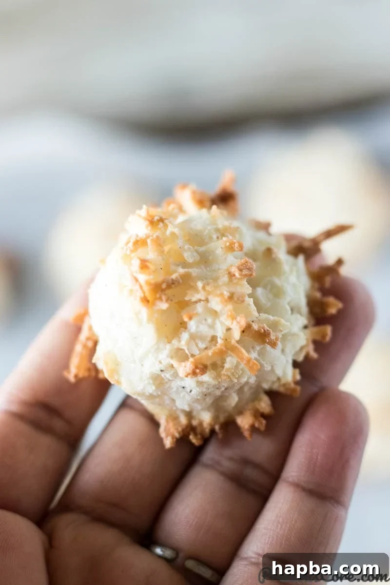 Effortless Coconut Macaroons 4 A hand gently holding a single, perfectly baked coconut macaroon, showcasing its inviting texture and golden-brown edges.