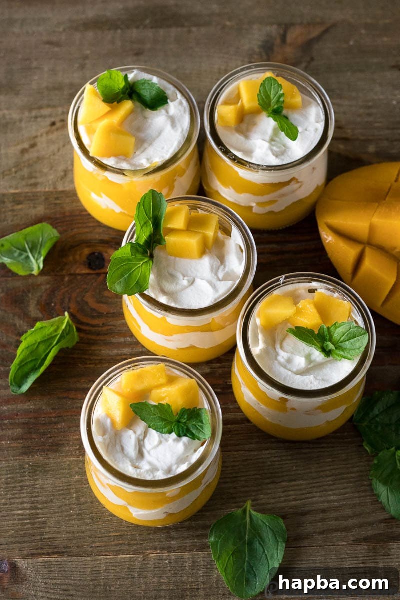 Golden Mango Bliss 2 Cups of bright yellow Mango Cream garnished with fresh mango cubes and mint