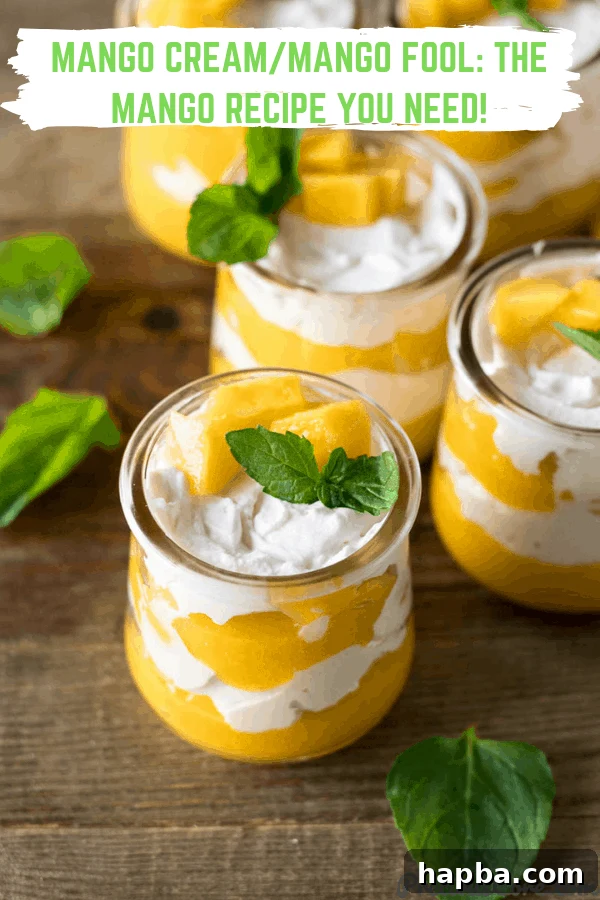 Golden Mango Bliss 9 Close-up of Mango Cream in glass cups, showing distinct layers and fresh mango garnish