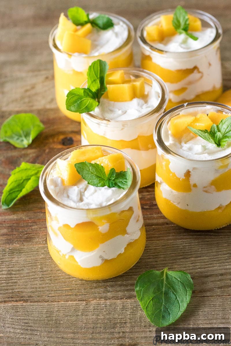 Golden Mango Bliss 3 Individual serving cups of layered Mango Cream dessert
