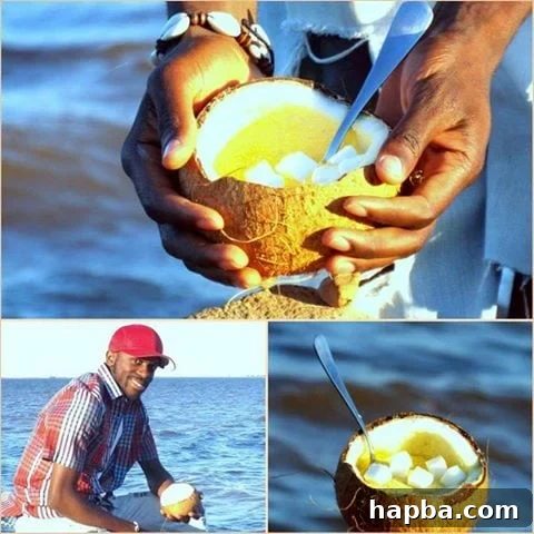 Cameroon Garri and Sugar, Simple Local Snack