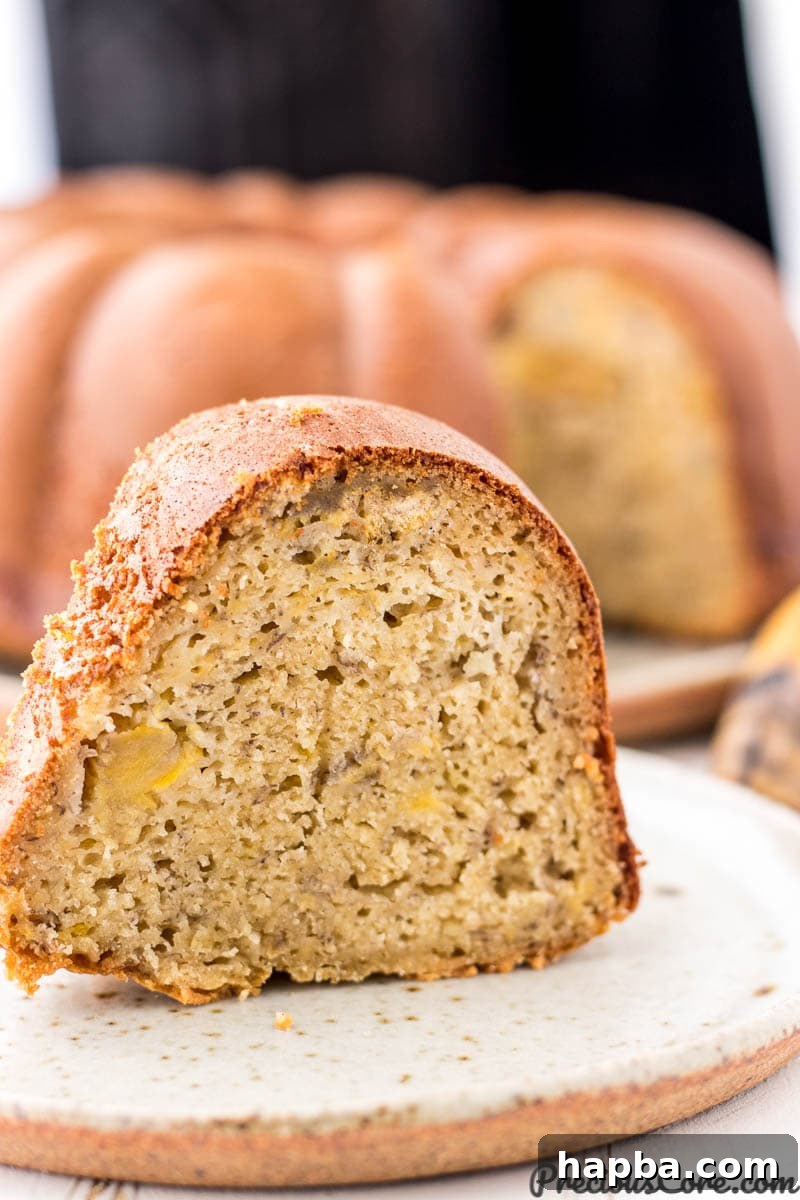 Sweet Plantain Delight 2 A beautiful slice of moist plantain cake on a plate, revealing its tender texture and golden-brown crust. Perfect for a comforting breakfast or a sweet dessert.