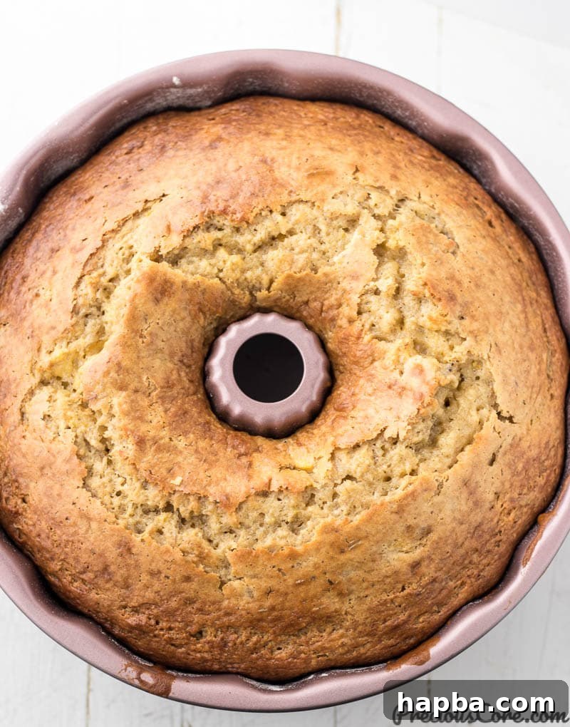 Sweet Plantain Delight 3 A freshly baked plantain bundt cake, still warm in the pan, showcasing its beautiful golden-brown exterior and slightly cracked top, a sign of its homemade goodness.