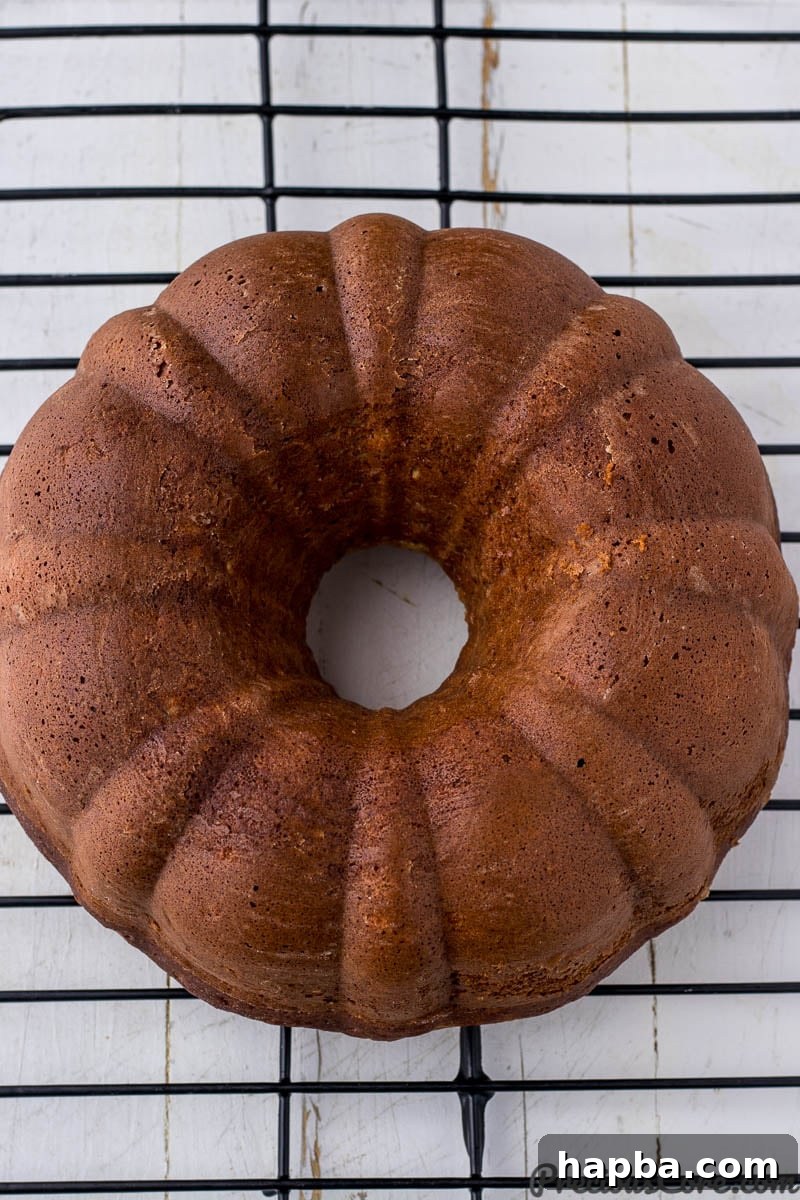 Sweet Plantain Delight 4 A freshly baked plantain bundt cake, beautifully golden and perfectly risen, resting inside its bundt pan, ready to be inverted.