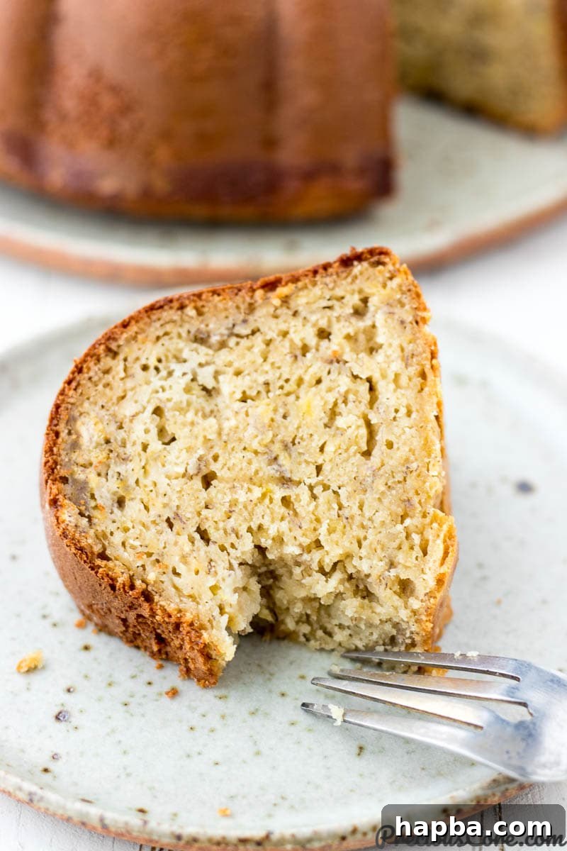 Sweet Plantain Delight 5 A delectable slice of plantain cake on a speckled plate, with a fork poised, inviting you to take a bite of its moist, flavorful goodness.