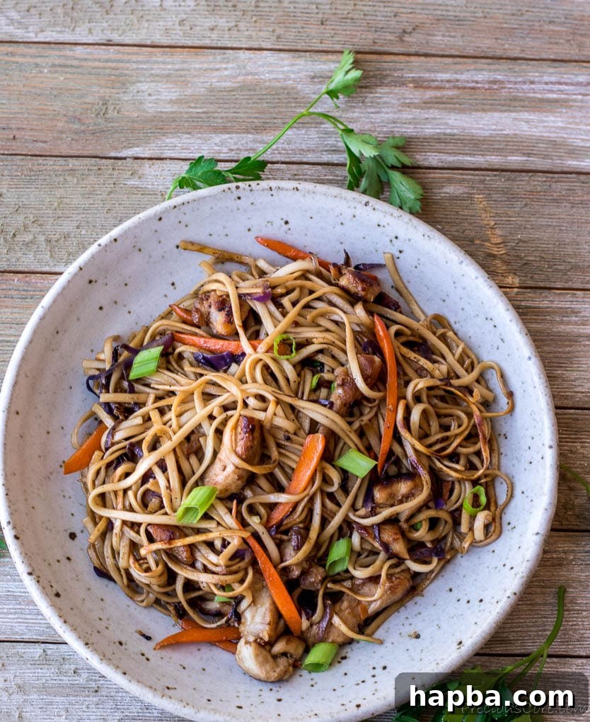 Noodle stir fry in a bowl.