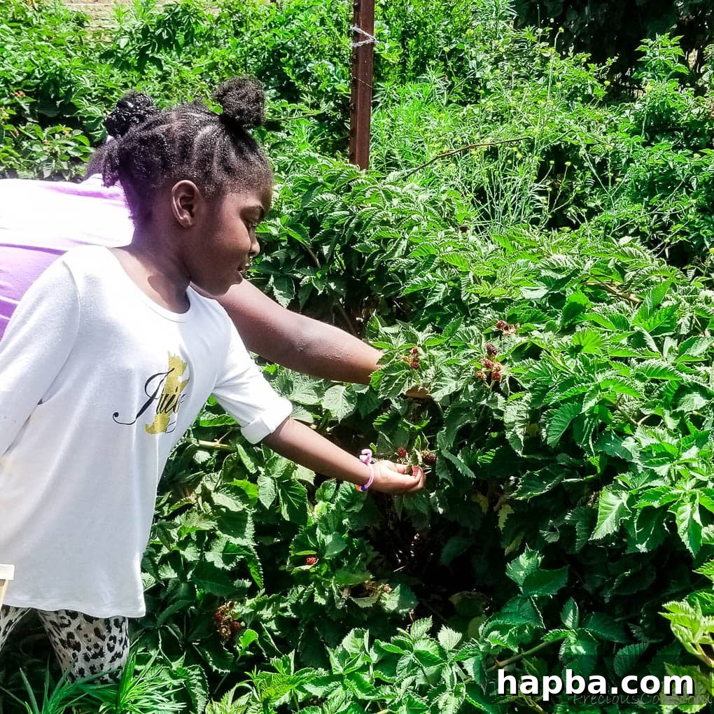 Children reaching into a berry bush.